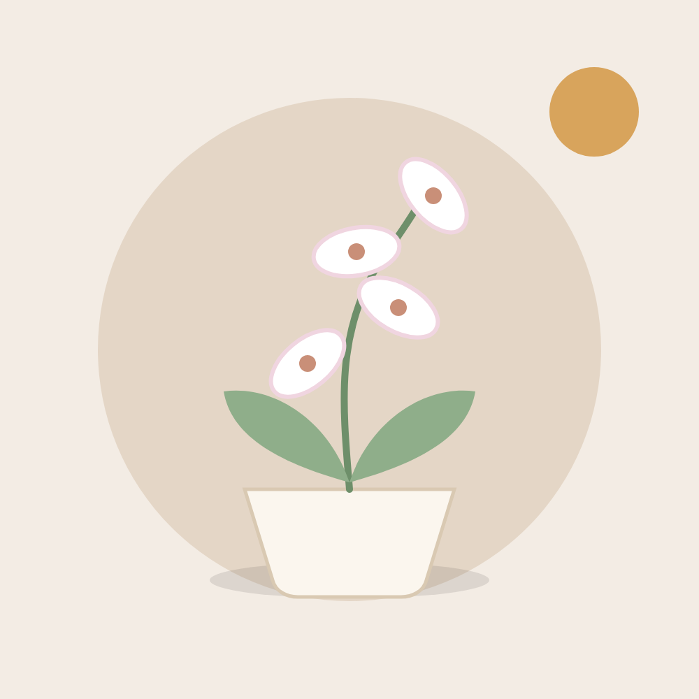 Illustration of a white orchid